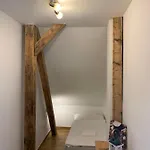 Διαμέρισμα Bolevec Pro Rodiny S Detmi A Zviratky *