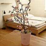 Apartment Bolevec Pro Rodiny S Detmi A Zviratky Plzen