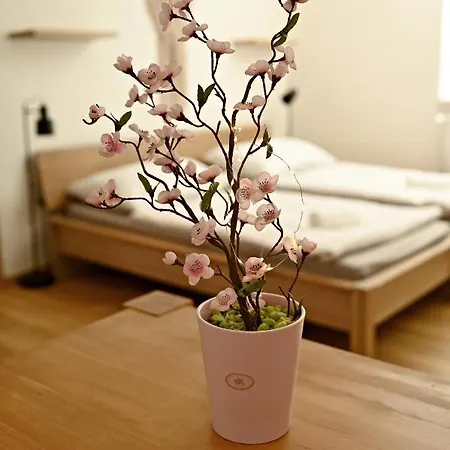 Daire Bolevec Pro Rodiny S Detmi A Zviratky Plzeň