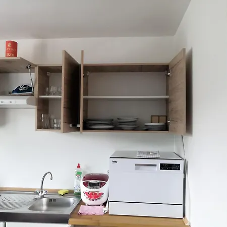 Bolevec Pro Rodiny S Detmi A Zviratky Apartment