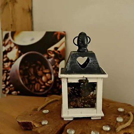 Bolevec Pro Rodiny S Detmi A Zviratky Daire *