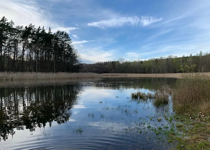 Bolevec Pro Rodiny S Detmi A Zviratky Plzen
