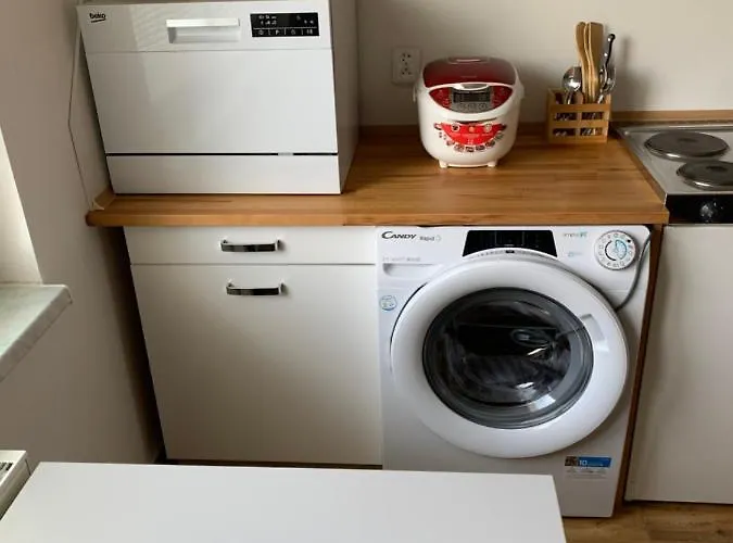 Bolevec Pro Rodiny S Detmi A Zviratky Apartment Pilsen