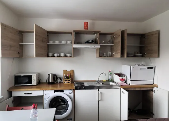 Bolevec Pro Rodiny S Detmi A Zviratky Apartment Plzen