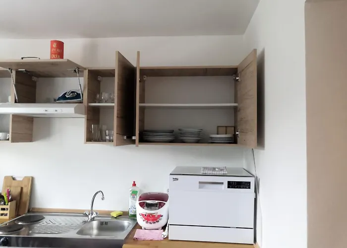 Bolevec Pro Rodiny S Detmi A Zviratky Apartment