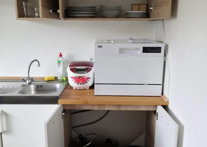 Apartment Bolevec Pro Rodiny S Detmi A Zviratky Plzen