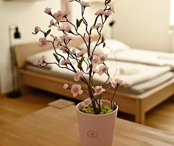 公寓 Bolevec Pro Rodiny S Detmi A Zviratky 比尔森